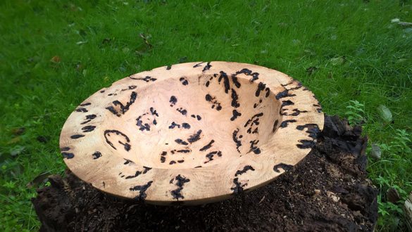 Schale von Ulrich Karbe