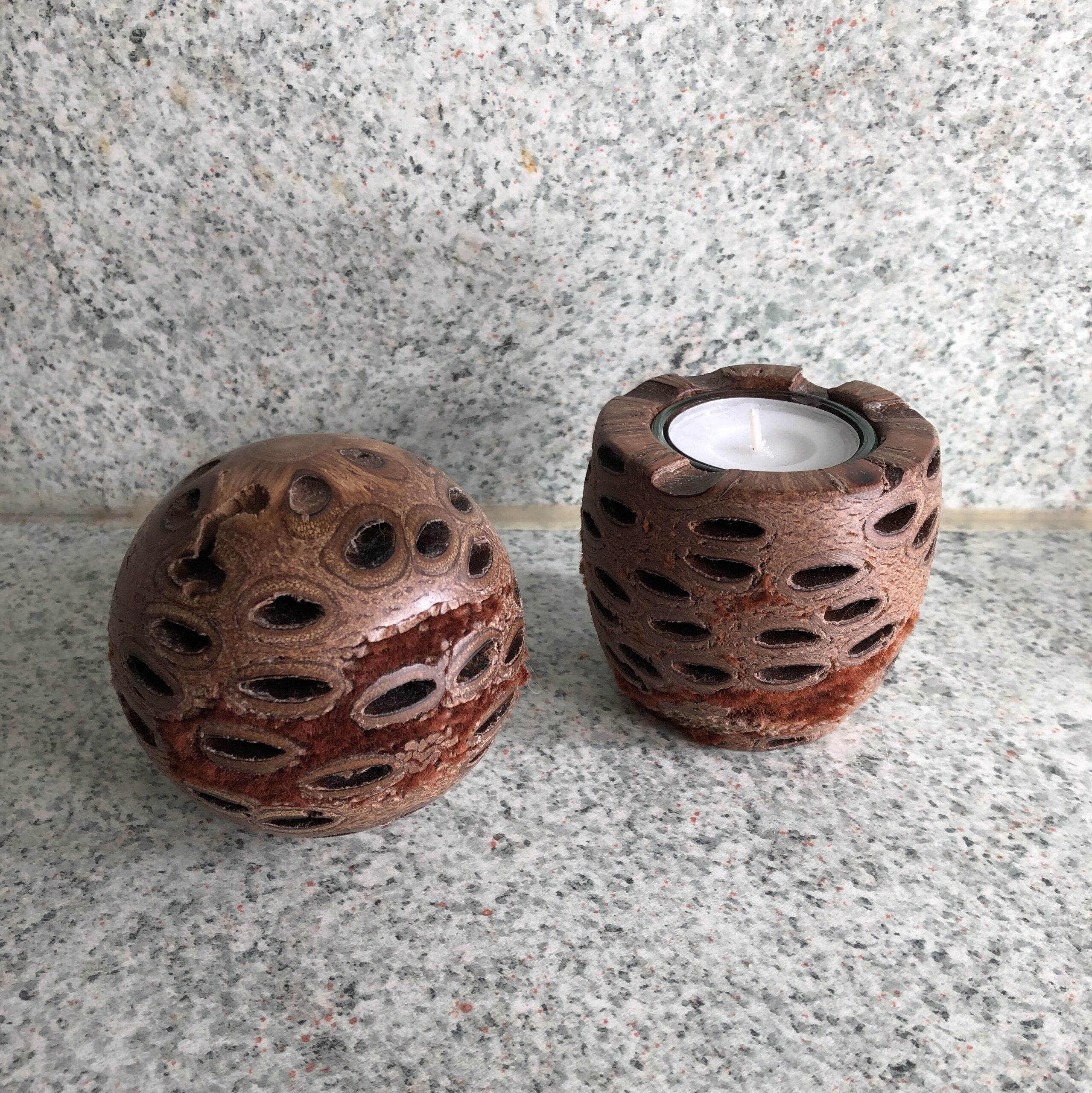 Banksia-Zapfen von Engelbert Warzelhan