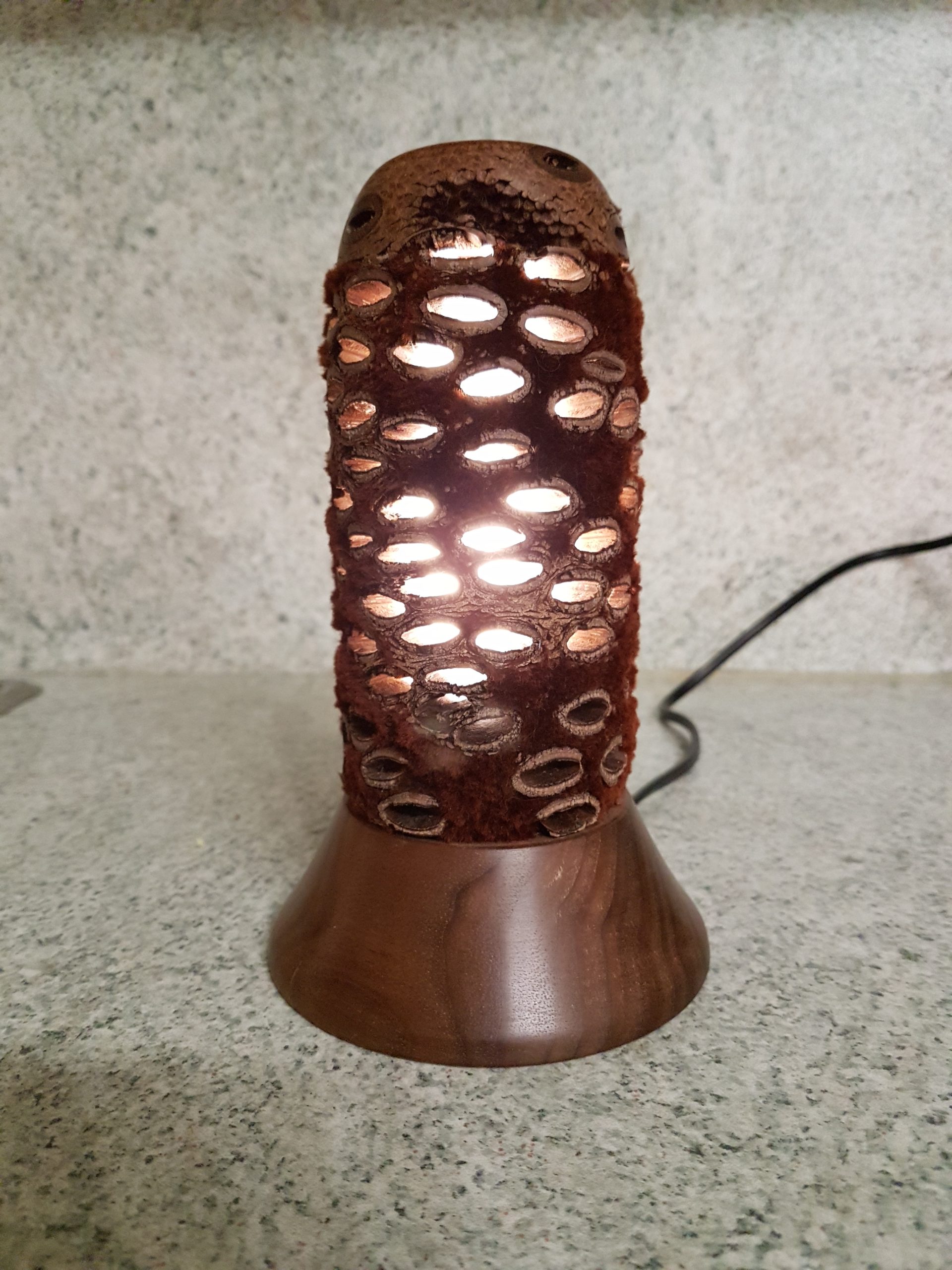 Dekolampen aus Banksia von Engelbert Warzelhan