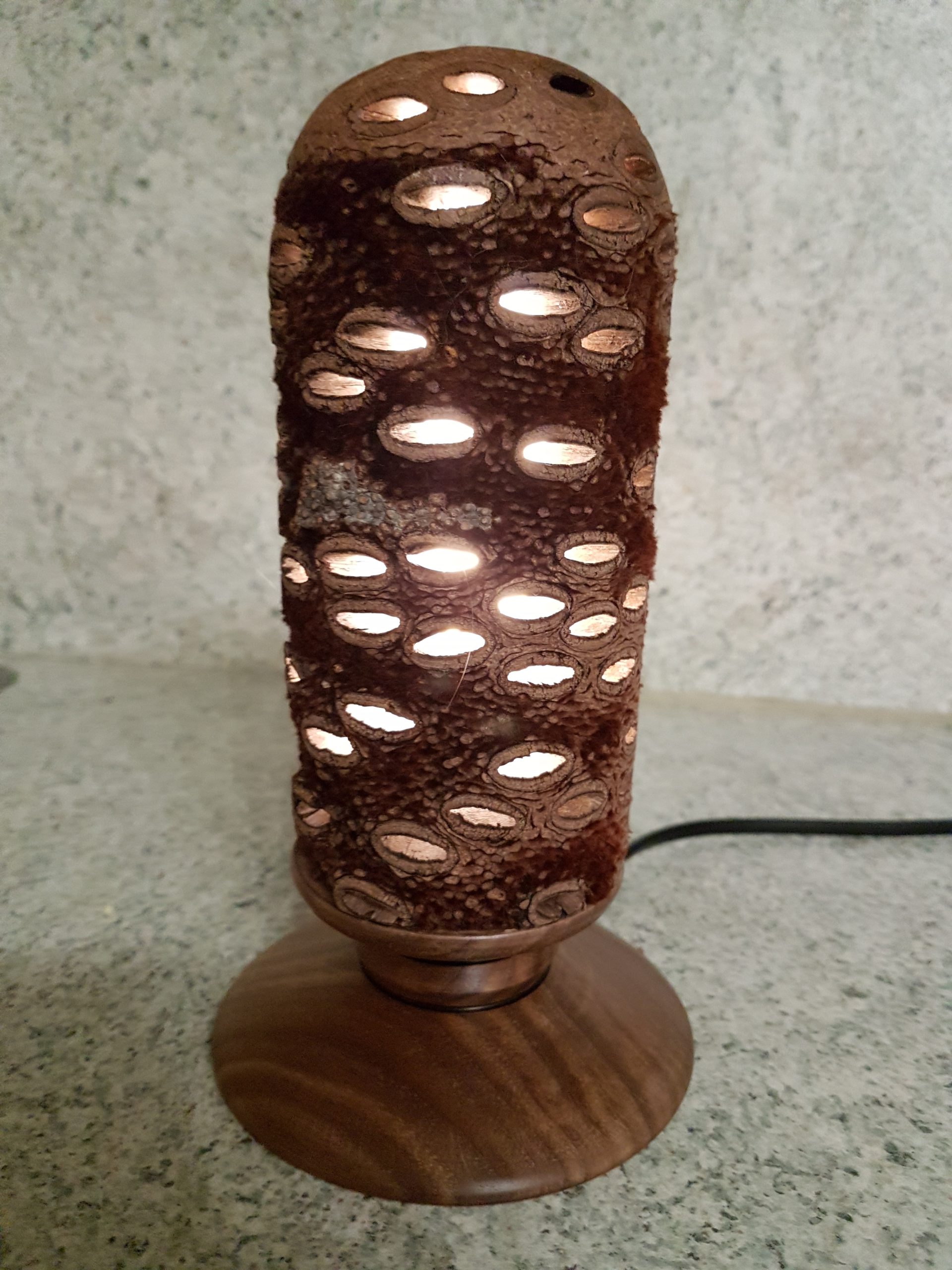 Dekolampen aus Banksia von Engelbert Warzelhan