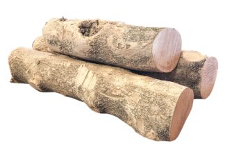 ca. 3 kg Buchsbaum Topqualität Ø 50-70 mm, Einschnitt 2010 (25,80 €/kg)